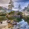 Фото профиля Laela Calvo ToxicFrogs
