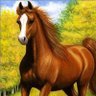 Фото профиля Mohmmed Ali