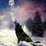 wolf 的头像