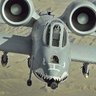 A10-WartHog's profile picture