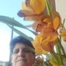 Sonia Watanabe Branquinho's profile picture