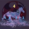 SE.213 的头像