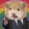 下水道隐居的🐭🐭's profile picture