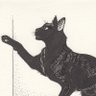 Vondervotteimitis's profile picture