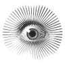 P. VDN's profile picture