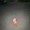 Grug's profile picture