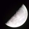 桃汁夭夭's profile picture