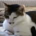 kii's profile picture
