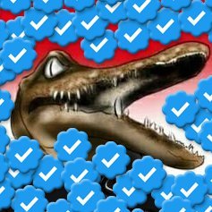 drrollergator's profile picture
