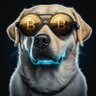 BitcoinIsTruth.Bitcoin ⚡️ 🎈's profile picture