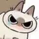 MAOMAOTOU0624's profile picture