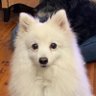Profilbild von fuzzylicious007