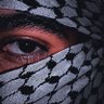 Profilbild von Zeed