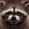 Profilbild von Justin Kaise