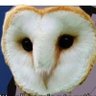 Camatti profil fotoğrafı