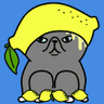 しょっぴー🍋 Web3レモン農家's profile picture