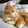 Mara😸 的头像