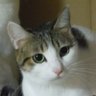 てらさん profil fotoğrafı