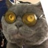 GKシン's profile picture