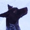 Миронов Дмитрий's profile picture