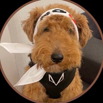 XG_1234567's profile picture