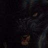 Cortez's profile picture