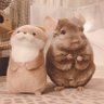 Profilbild von きなこもこ