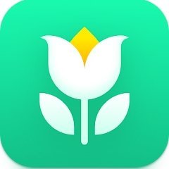 Plant Parent's profile picture