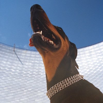 TesselaMusic's profile picture
