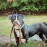 SoulliereX profil fotoğrafı