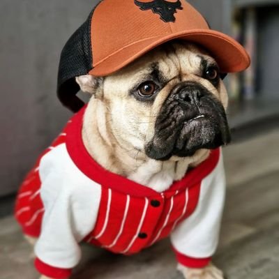 Frenchi World Official's profile picture