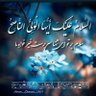 mohamad javad 的头像