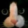 reed's profile picture