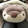Buse's profile picture