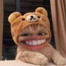 WanderedToLAA's profile picture