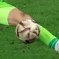 Maximiliano Mansilla's profile picture