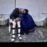 Profilbild von Nasir A afghan