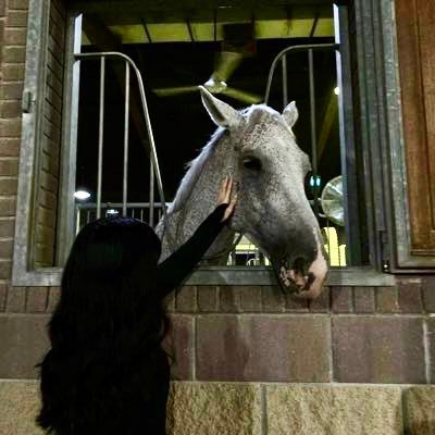 أشواق's profile picture