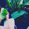 gkdj7r's profile picture