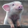 Audrey_Eva's profile picture