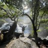 Calon CEO 的头像