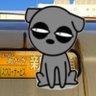 Фото профиля あおさご