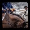 Фото профиля Yousef
