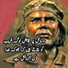 جمہوریت کا طلبگار 的头像