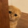 pepper :)'s profile picture
