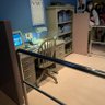 ひーちゃん profil fotoğrafı
