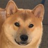 余厚强's profile picture