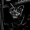 aing maung arggggh profil fotoğrafı