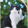 Trudy's profile picture
