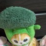 ばたひかるん's profile picture